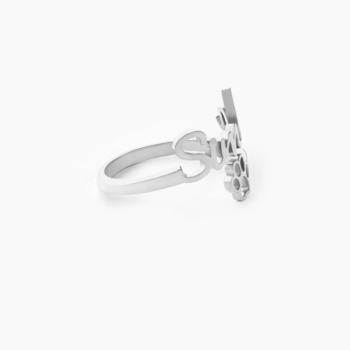 #afwerking_zilver-dier